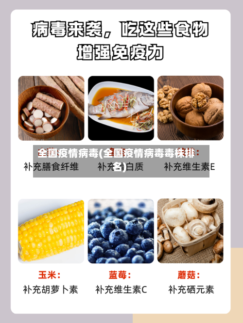 全国疫情病毒(全国疫情病毒毒株排名)-第2张图片