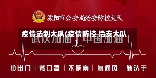 疫情法制大队(疫情防控 治安大队)