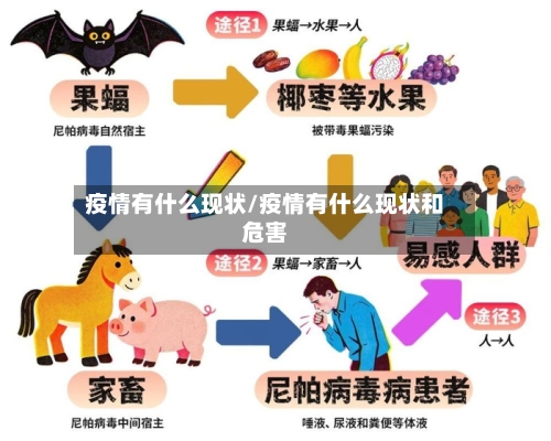疫情有什么现状/疫情有什么现状和危害-第2张图片