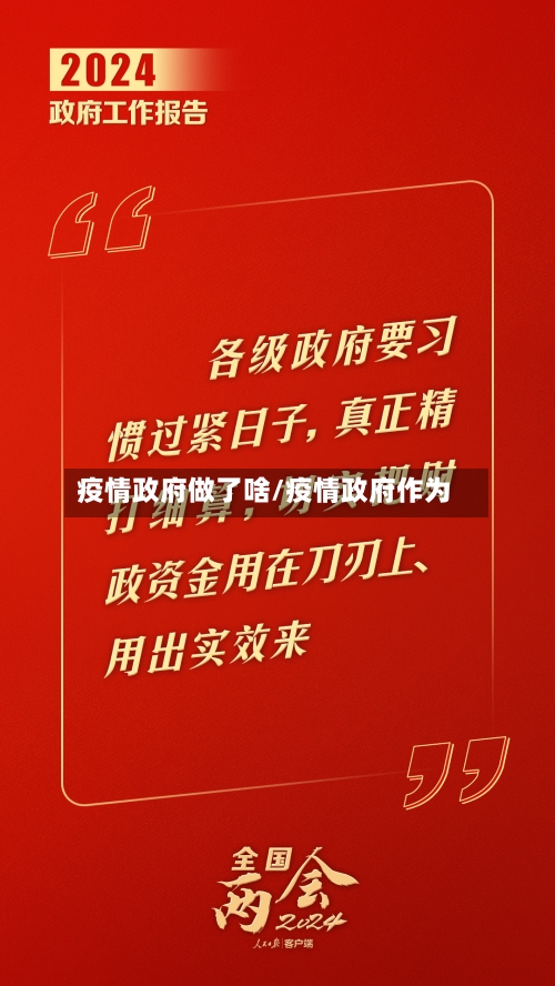 疫情政府做了啥/疫情政府作为