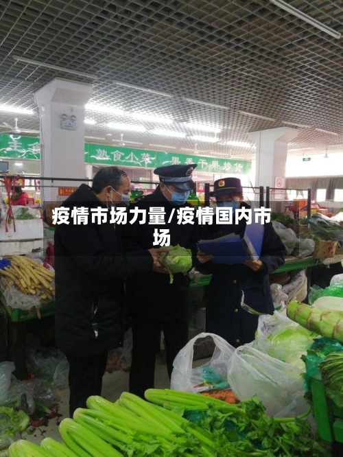 疫情市场力量/疫情国内市场-第2张图片