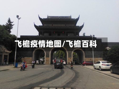 飞檐疫情地图/飞檐百科