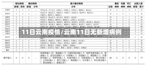 11日云南疫情/云南11日无新增病例-第2张图片