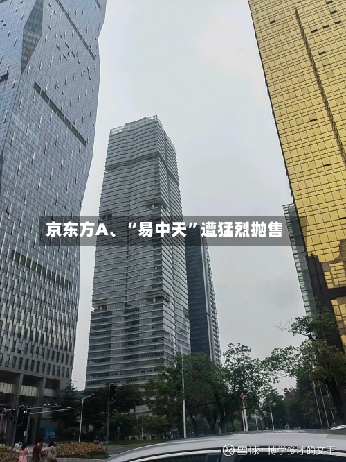 京东方A、“易中天”遭猛烈抛售-第2张图片