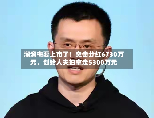 溜溜梅要上市了！突击分红6730万元，创始人夫妇拿走5300万元-第2张图片