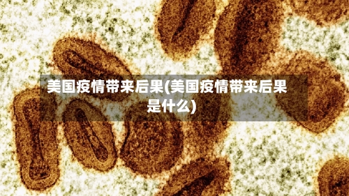 美国疫情带来后果(美国疫情带来后果是什么)-第3张图片