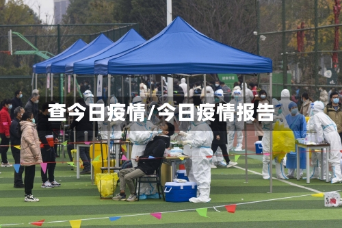 查今日疫情/今日疫情报告-第2张图片