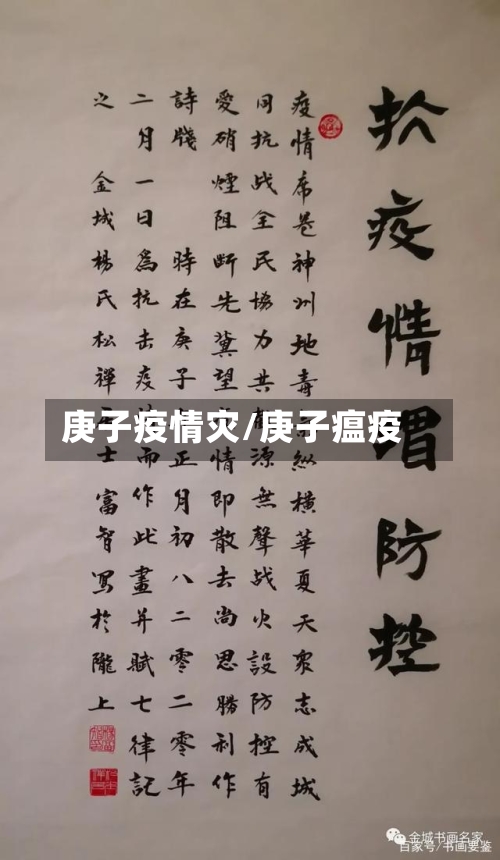 庚子疫情灾/庚子瘟疫-第2张图片