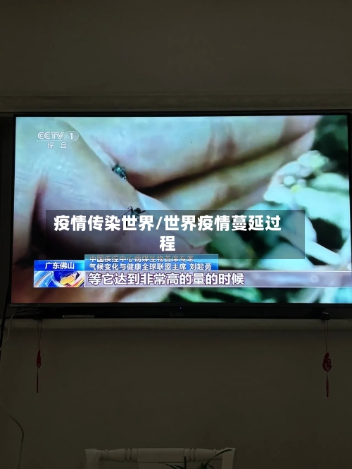 疫情传染世界/世界疫情蔓延过程-第2张图片
