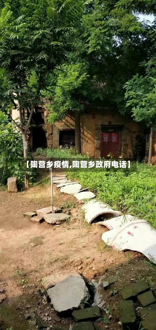 【陶营乡疫情,陶营乡政府电话】-第2张图片