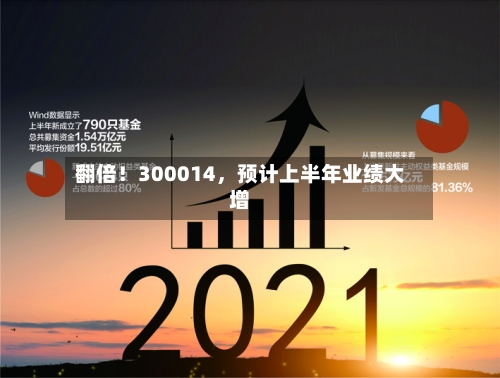 翻倍！300014，预计上半年业绩大增