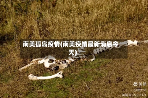 南美孤岛疫情(南美疫情最新消息今天)