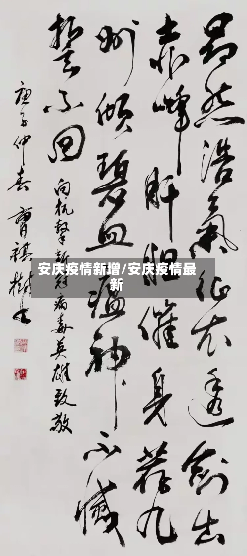 安庆疫情新增/安庆疫情最新-第3张图片