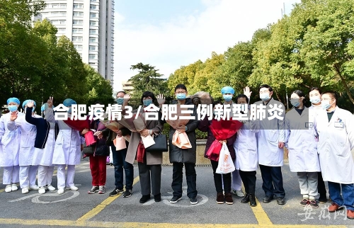 合肥疫情3/合肥三例新型肺炎