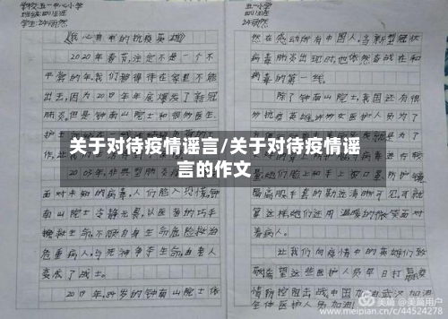 关于对待疫情谣言/关于对待疫情谣言的作文-第2张图片