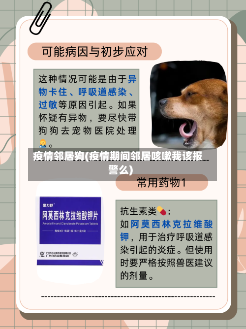 疫情邻居狗(疫情期间邻居咳嗽我该报警么)