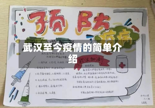 武汉至今疫情的简单介绍