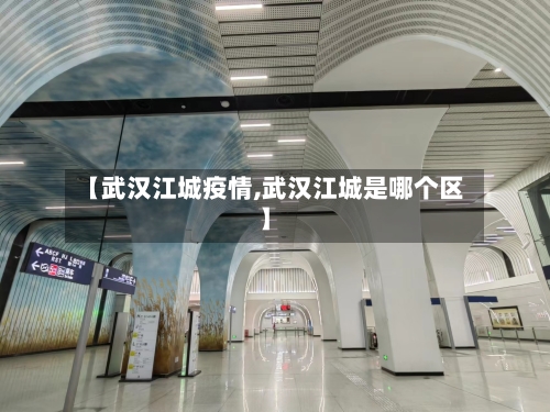 【武汉江城疫情,武汉江城是哪个区】