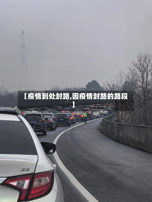 【疫情到处封路,因疫情封路的路段】-第3张图片
