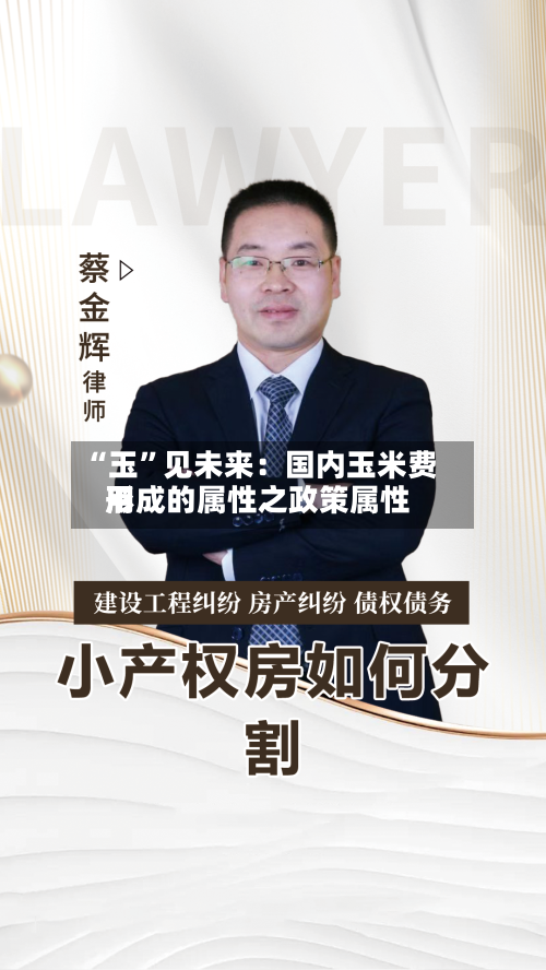 “玉”见未来：国内玉米费用形成的属性之政策属性