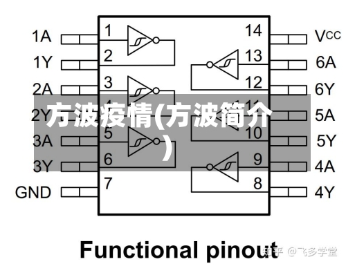方波疫情(方波简介)-第2张图片