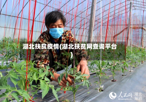 湖北扶贫疫情(湖北扶贫网查询平台)
