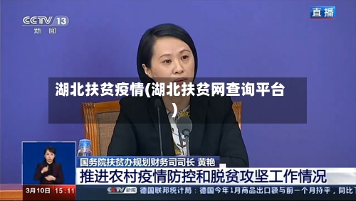 湖北扶贫疫情(湖北扶贫网查询平台)-第3张图片