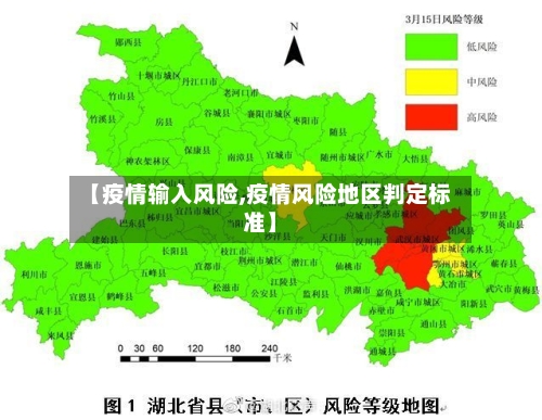 【疫情输入风险,疫情风险地区判定标准】-第3张图片