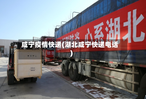 咸宁疫情快递(湖北咸宁快递电话)