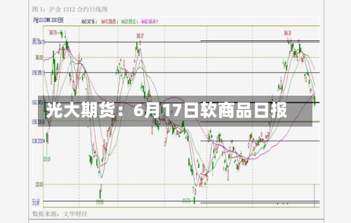 光大期货：6月17日软商品日报