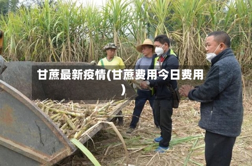 甘蔗最新疫情(甘蔗费用今日费用)