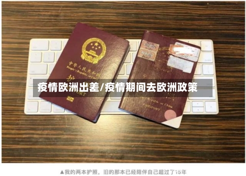疫情欧洲出差/疫情期间去欧洲政策-第2张图片