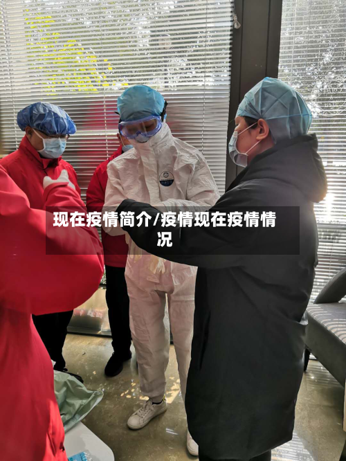 现在疫情简介/疫情现在疫情情况-第3张图片