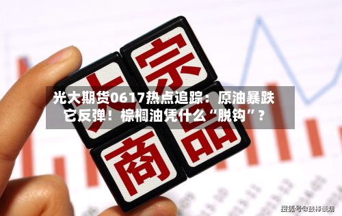 光大期货0617热点追踪：原油暴跌它反弹！棕榈油凭什么“脱钩”？-第2张图片