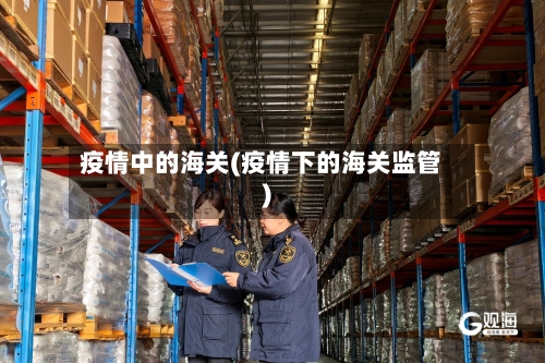 疫情中的海关(疫情下的海关监管)
