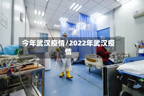 今年武汉疫情/2022年武汉疫情