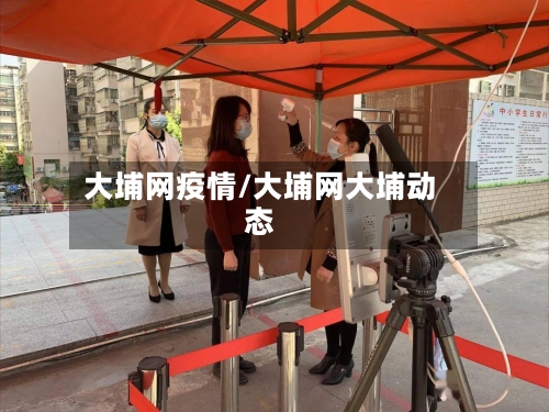 大埔网疫情/大埔网大埔动态-第2张图片