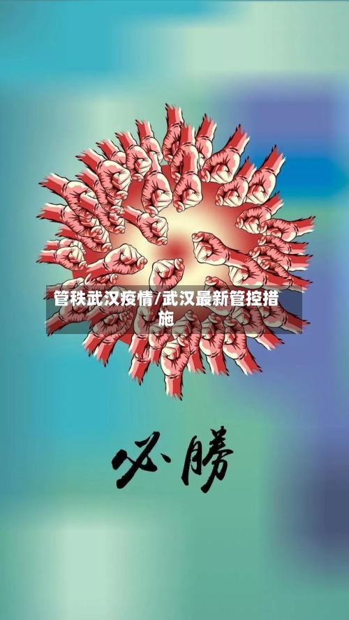 管秩武汉疫情/武汉最新管控措施-第2张图片