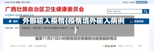 外部输入疫情(疫情境外输入病例)