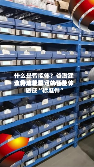 什么是智能体？谷澍建议将功能单〖One〗、业务流程固定的智能体做成“标准件”-第3张图片