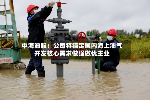 中海油服：公司将锚定国内海上油气开发核心需求做强做优主业