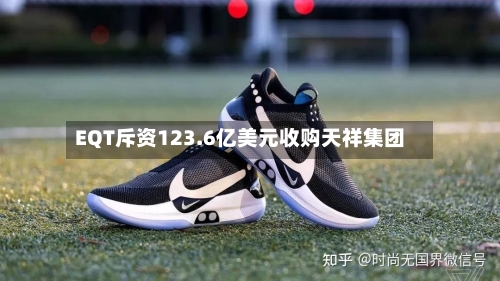 EQT斥资123.6亿美元收购天祥集团-第3张图片