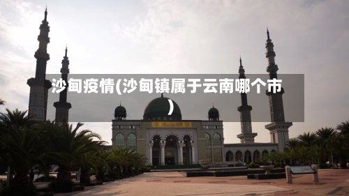 沙甸疫情(沙甸镇属于云南哪个市)