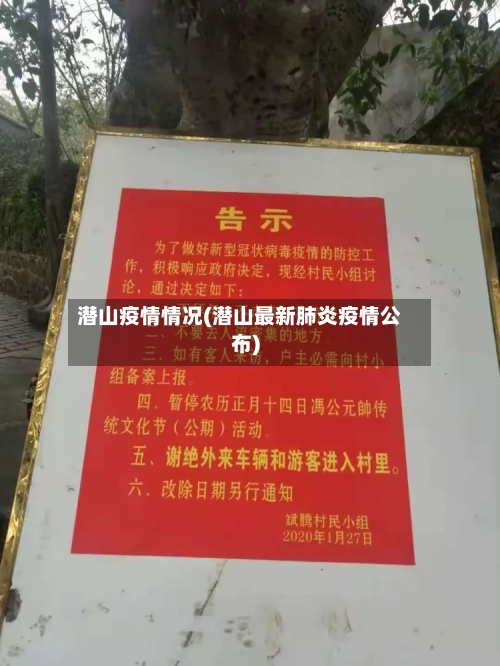 潜山疫情情况(潜山最新肺炎疫情公布)-第2张图片