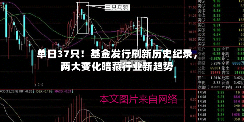 单日37只！基金发行刷新历史纪录	，两大变化暗藏行业新趋势-第2张图片