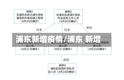 浦东新增疫情/浦东 新增