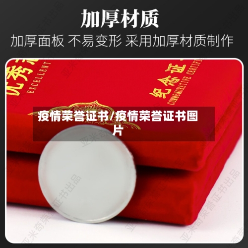 疫情荣誉证书/疫情荣誉证书图片