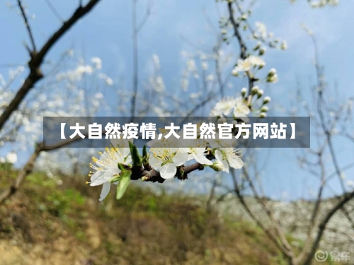 【大自然疫情,大自然官方网站】-第2张图片