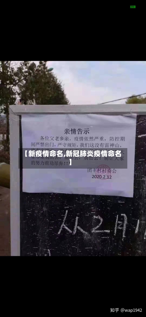 【新疫情命名,新冠肺炎疫情命名】-第3张图片