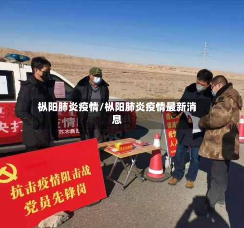 枞阳肺炎疫情/枞阳肺炎疫情最新消息-第2张图片